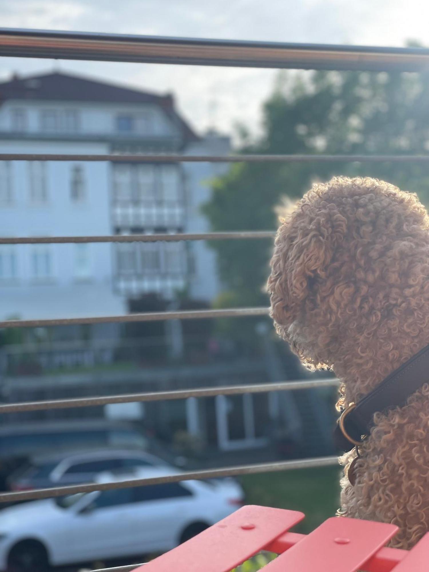 Sonniges Hinterhaus Og Innenstadt Osnabrück Eksteriør bilde
